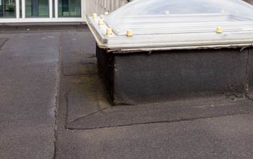 disadvantages of Swyddffynnon flat roofs