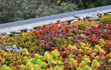 the cost of Swyddffynnon green roof installation