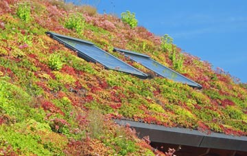 Swyddffynnon living roof systems