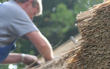 professional Swyddffynnon thatchers