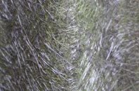 Swyddffynnon fibreglass roof work